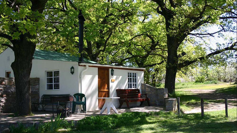 Klondyke Cherry Farm Cherry Picking And Accommodation