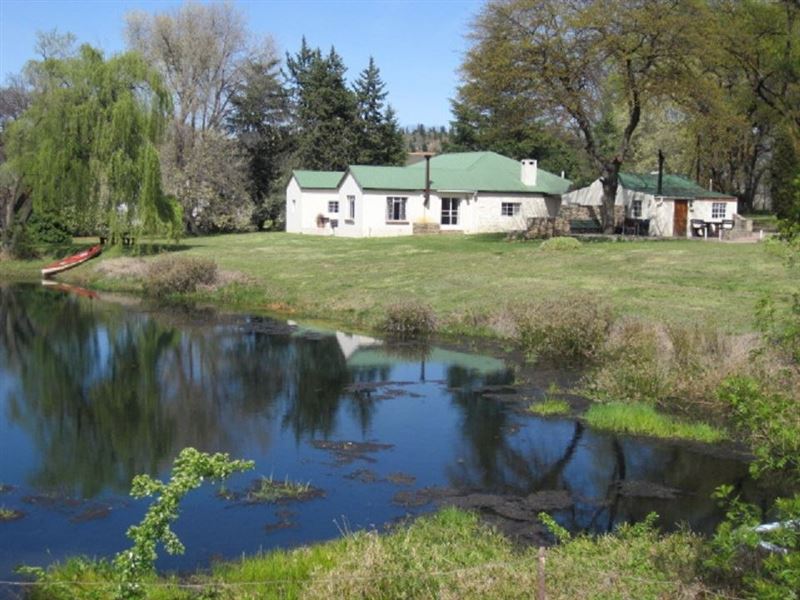Self Catering Accommodation And Camping At Klondyke Cherry Farm